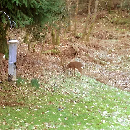 The Secret Garden Holiday home Windermere